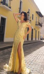 Nox Anabel Long Formal Dress c1455