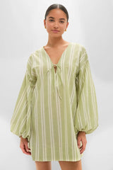 Faded Juniper Ombre Stripe Pia Mini Dress