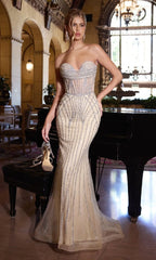 Ladivine Long Formal Dress cd794