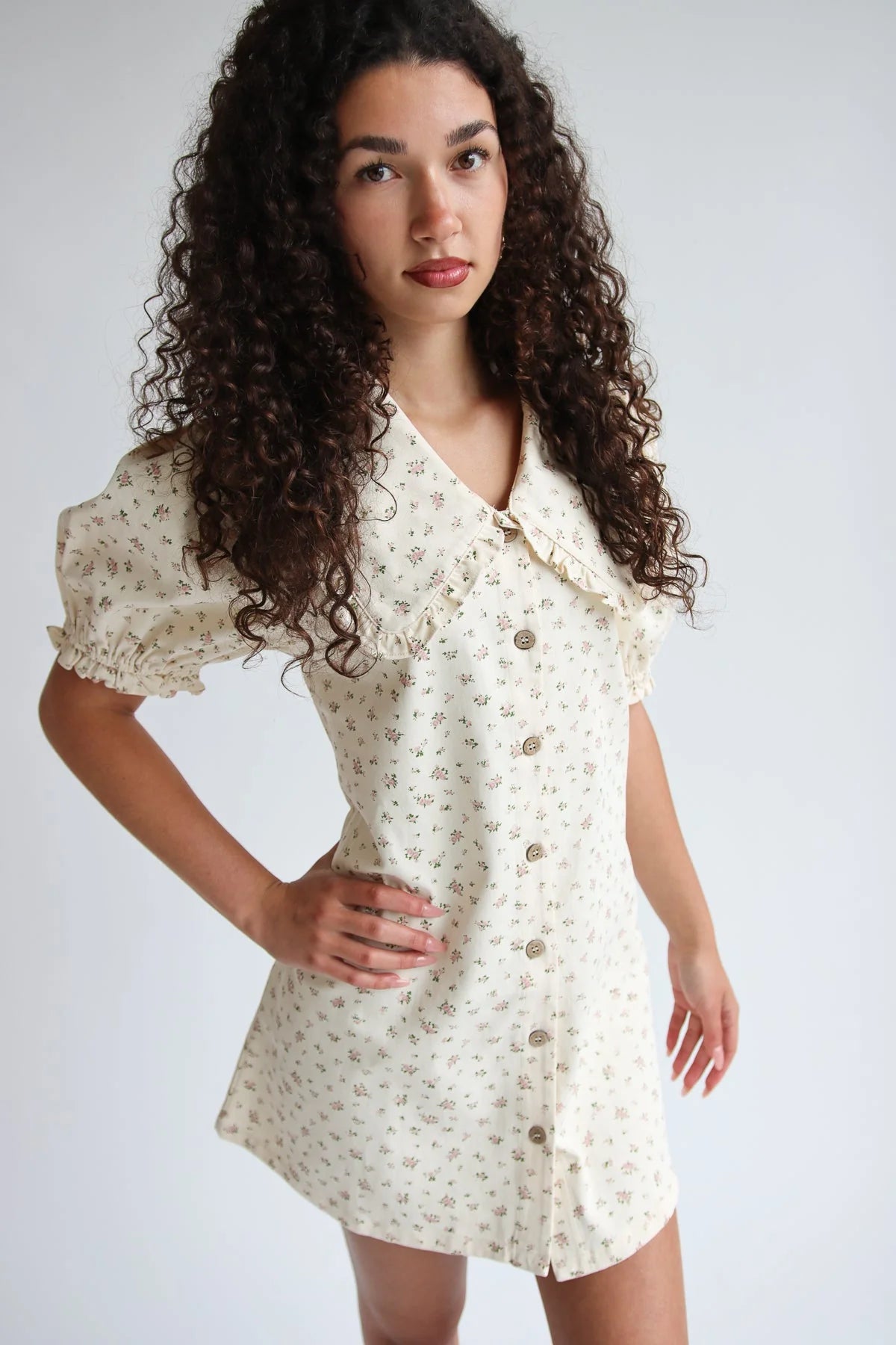 Floral Peter Pan Collar Denim Dress